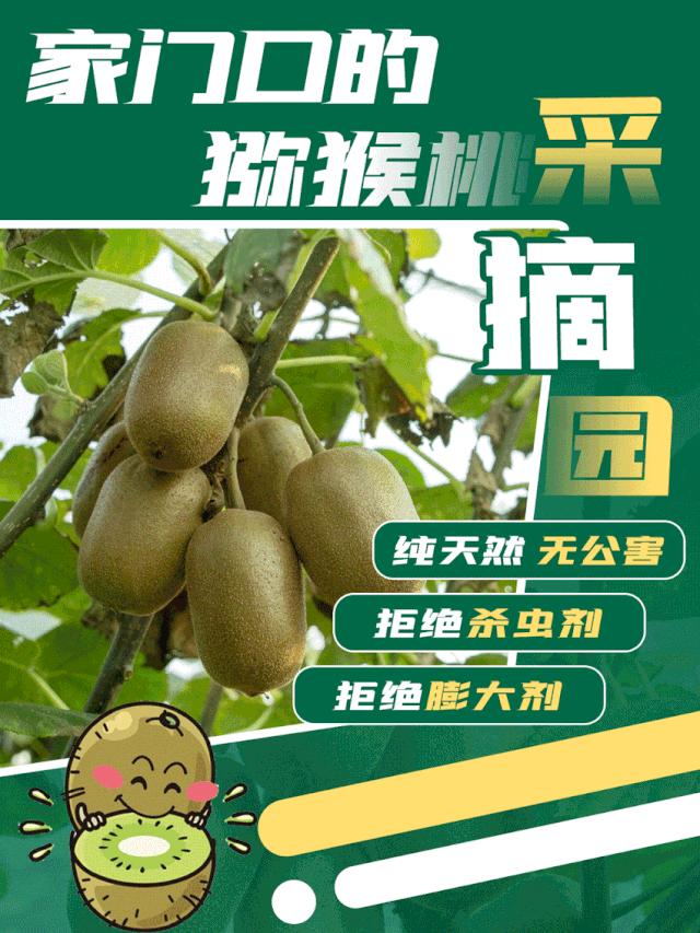 @济南人 :7元“甜猕”富硒相约!周村葫芦山生态园周末开园啦!导航搜索直接到达