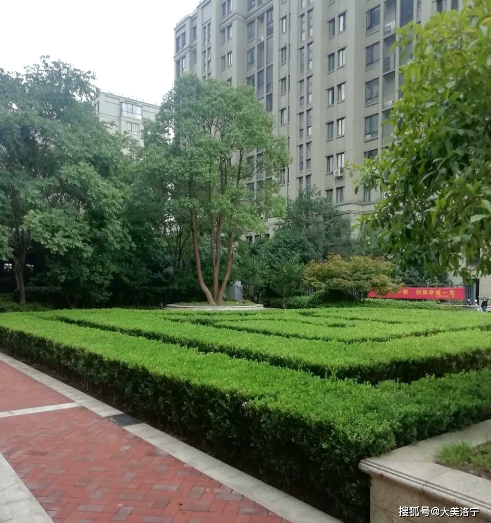 洛宁金玉国——来自杭州的报告(图9)