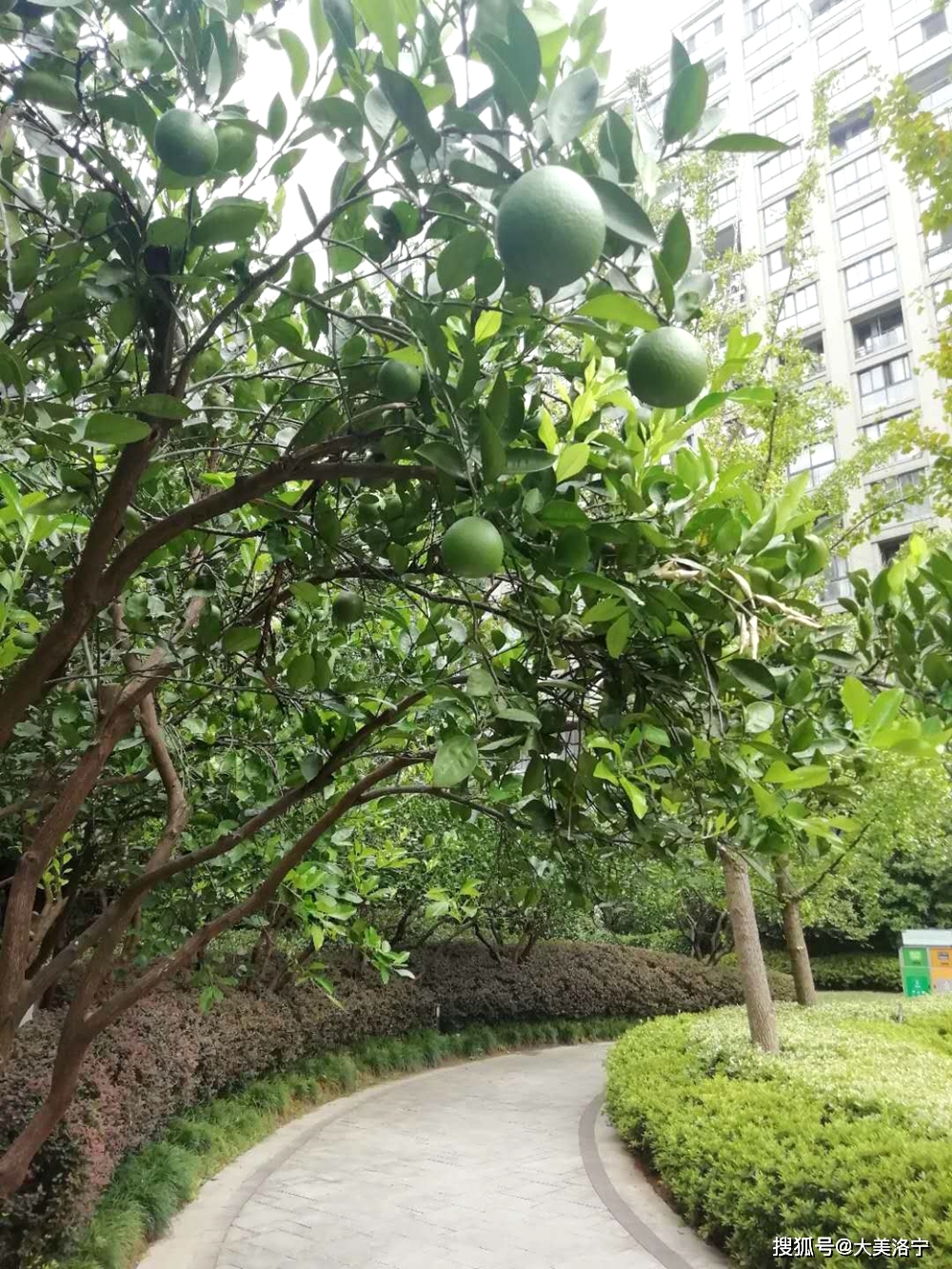 洛宁金玉国——来自杭州的报告(图10)