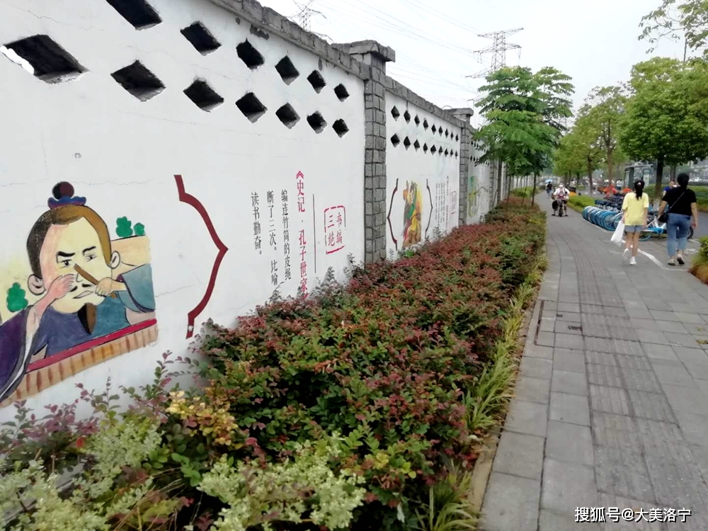 洛宁金玉国——来自杭州的报告(图17)