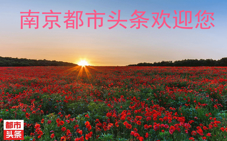 微信截图_20200035_副本_副本.gif
