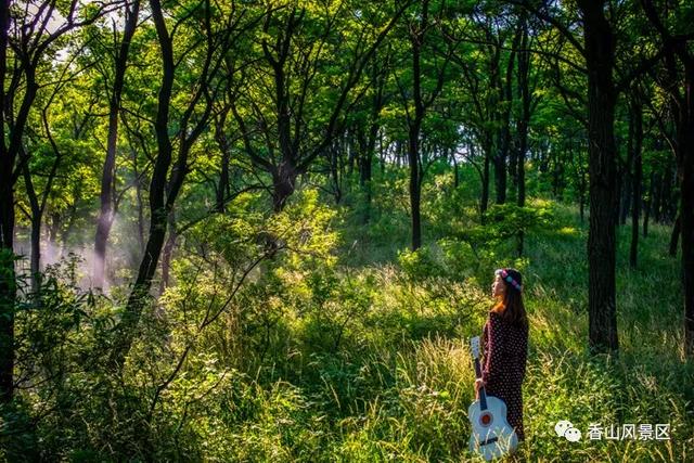 “济南香山 美在笔端”第二届“香山杯”全国文学作品大赛33 ​香山意象 刘恒杰（图15）