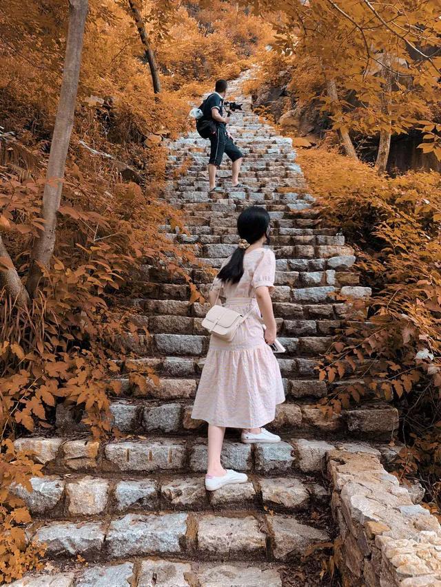 十一免费游香山，网红打卡免费游，万元大奖等您拿（图16）