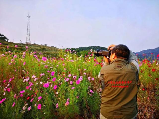 十一免费游香山，网红打卡免费游，万元大奖等您拿（图18）