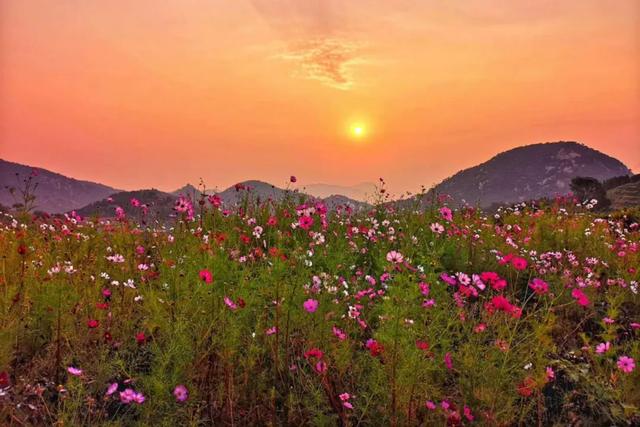 十一免费游香山，网红打卡免费游，万元大奖等您拿（图19）