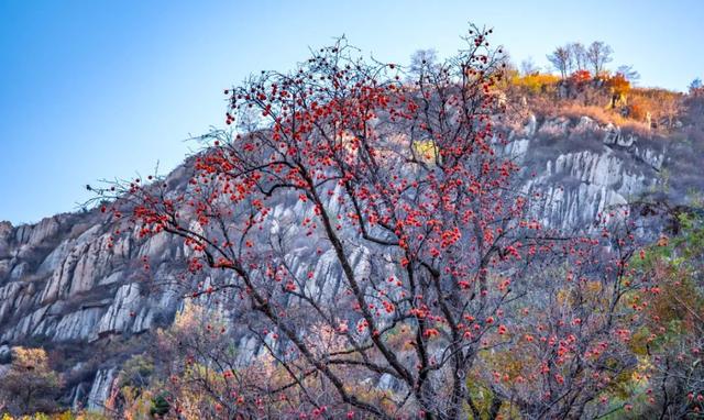 十一免费游香山，网红打卡免费游，万元大奖等您拿（图21）