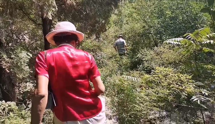 博山樵岭前看“六棵银杏树”(图18)