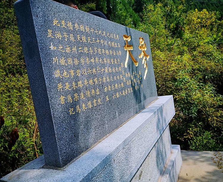 博山樵岭前看“六棵银杏树”(图25)
