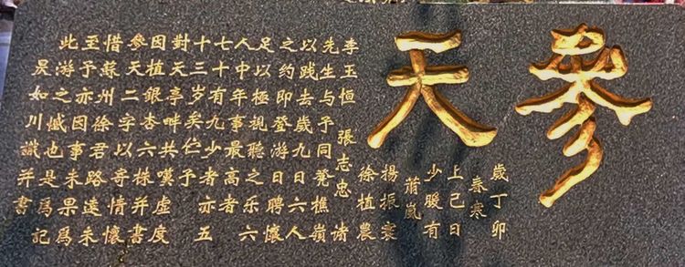 博山樵岭前看“六棵银杏树”(图26)
