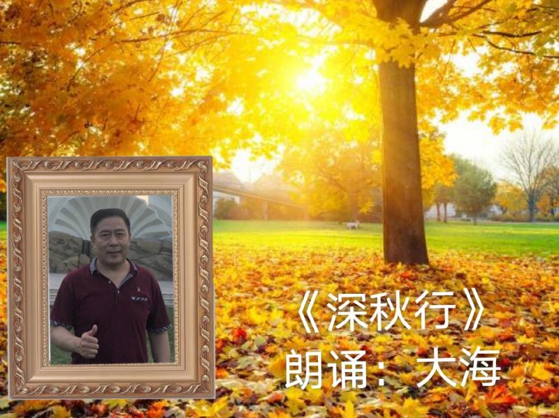 1601477497865025700.png image.png