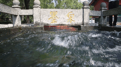 布建忠(小布丁):我爱济南的泉水(图4)