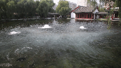布建忠(小布丁):我爱济南的泉水(图5)