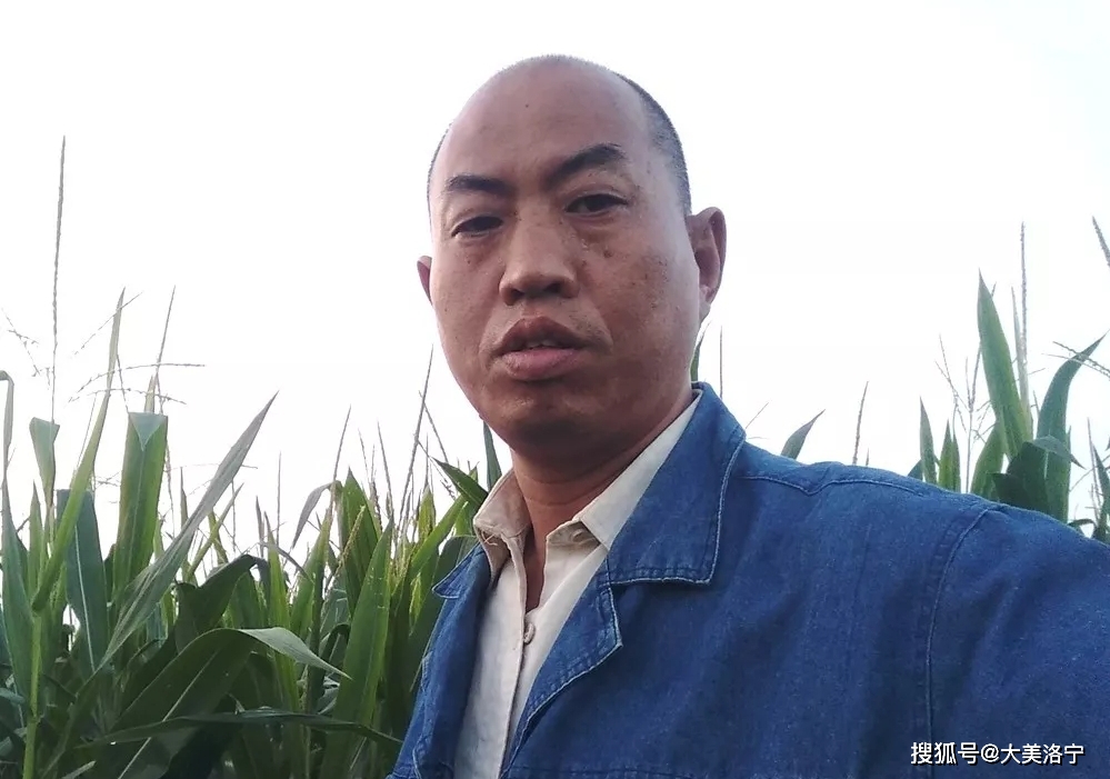 公讨献妻降贼逆绅杨汝成檄(图3)
