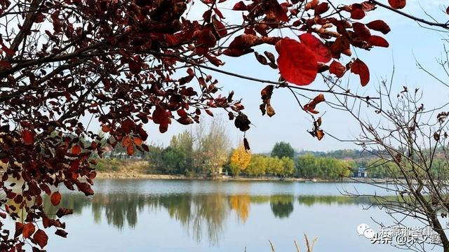 桃花岛——沂源网红打卡地，炫出最美秋色~（图2）