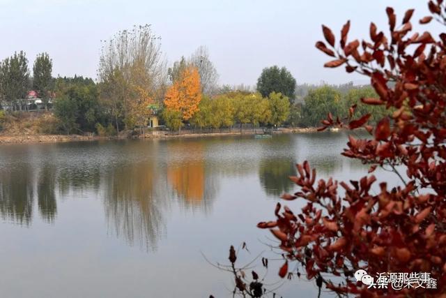 桃花岛——沂源网红打卡地，炫出最美秋色~（图12）