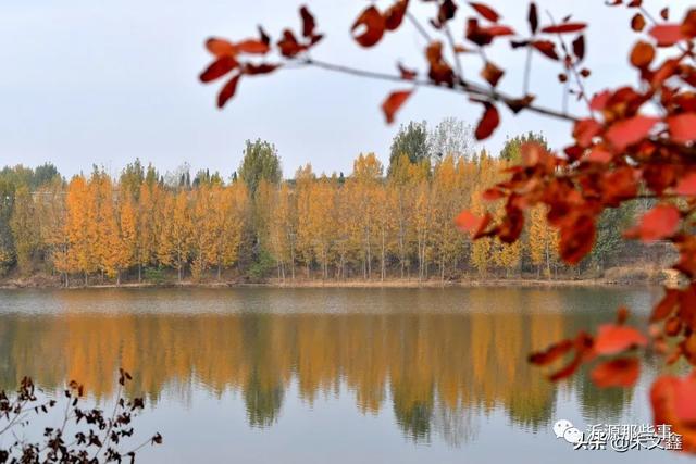桃花岛——沂源网红打卡地，炫出最美秋色~（图13）