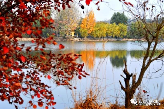 桃花岛——沂源网红打卡地，炫出最美秋色~（图14）