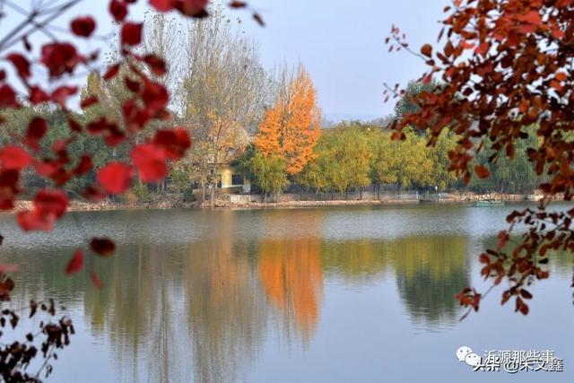 桃花岛——沂源网红打卡地，炫出最美秋色~（图18）