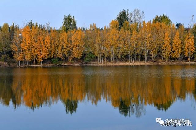 桃花岛——沂源网红打卡地，炫出最美秋色~（图23）