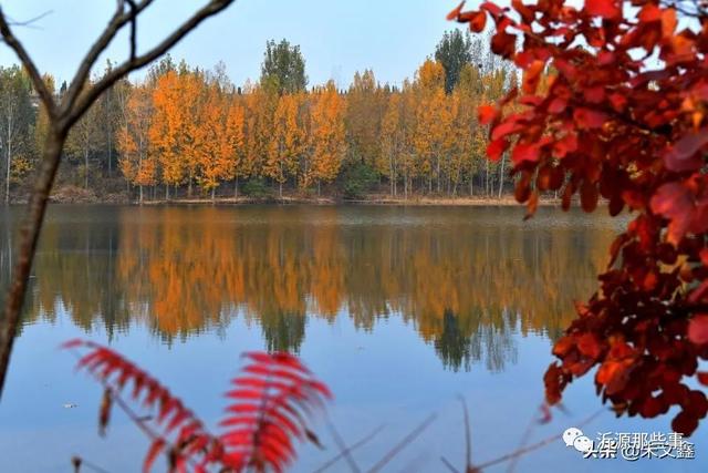 桃花岛——沂源网红打卡地，炫出最美秋色~（图24）