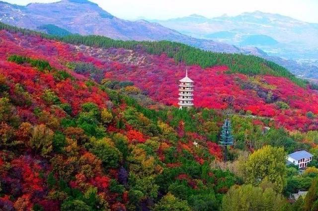 李世杰：南山红叶谷游记