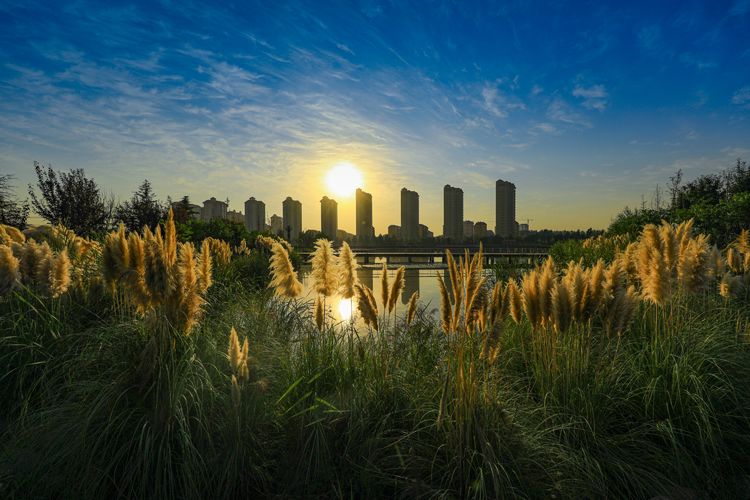 河南卫辉：藏不住的美景（图3）