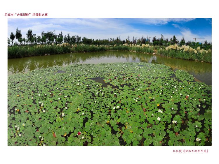 河南卫辉：藏不住的美景（图21）