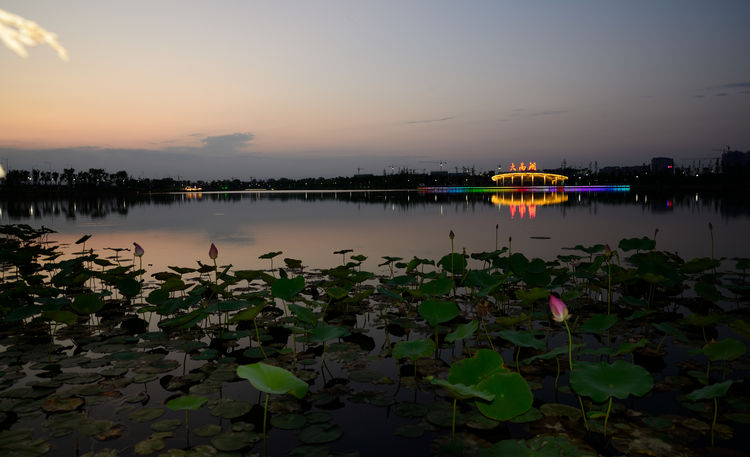 河南卫辉：藏不住的美景（图24）
