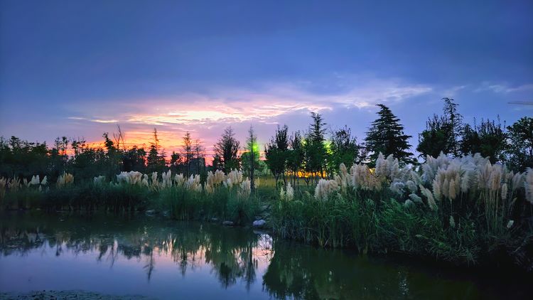 河南卫辉：藏不住的美景（图26）
