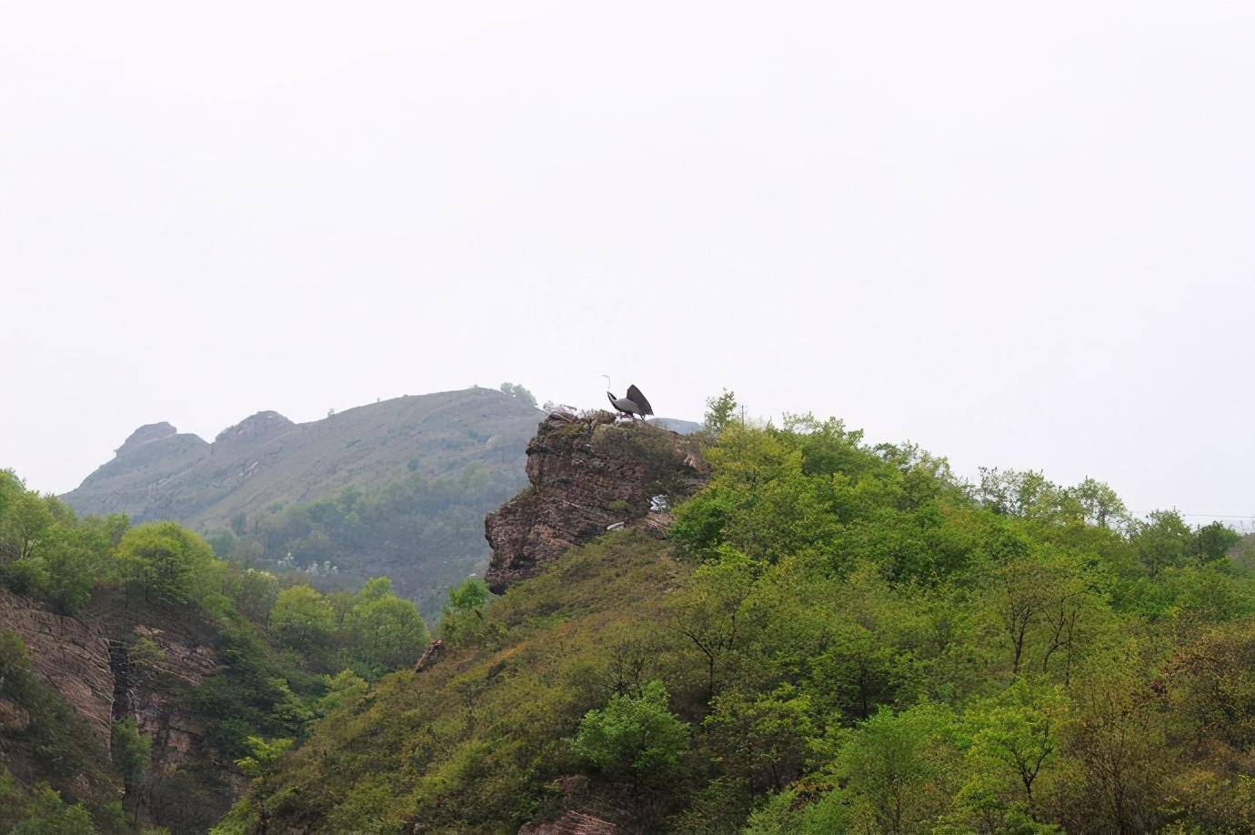 【携程攻略】伊川鹤鸣峡风景区景点,如果你是本地人，附近村庄的，可以免门票，请随意来玩。如果你开车到…