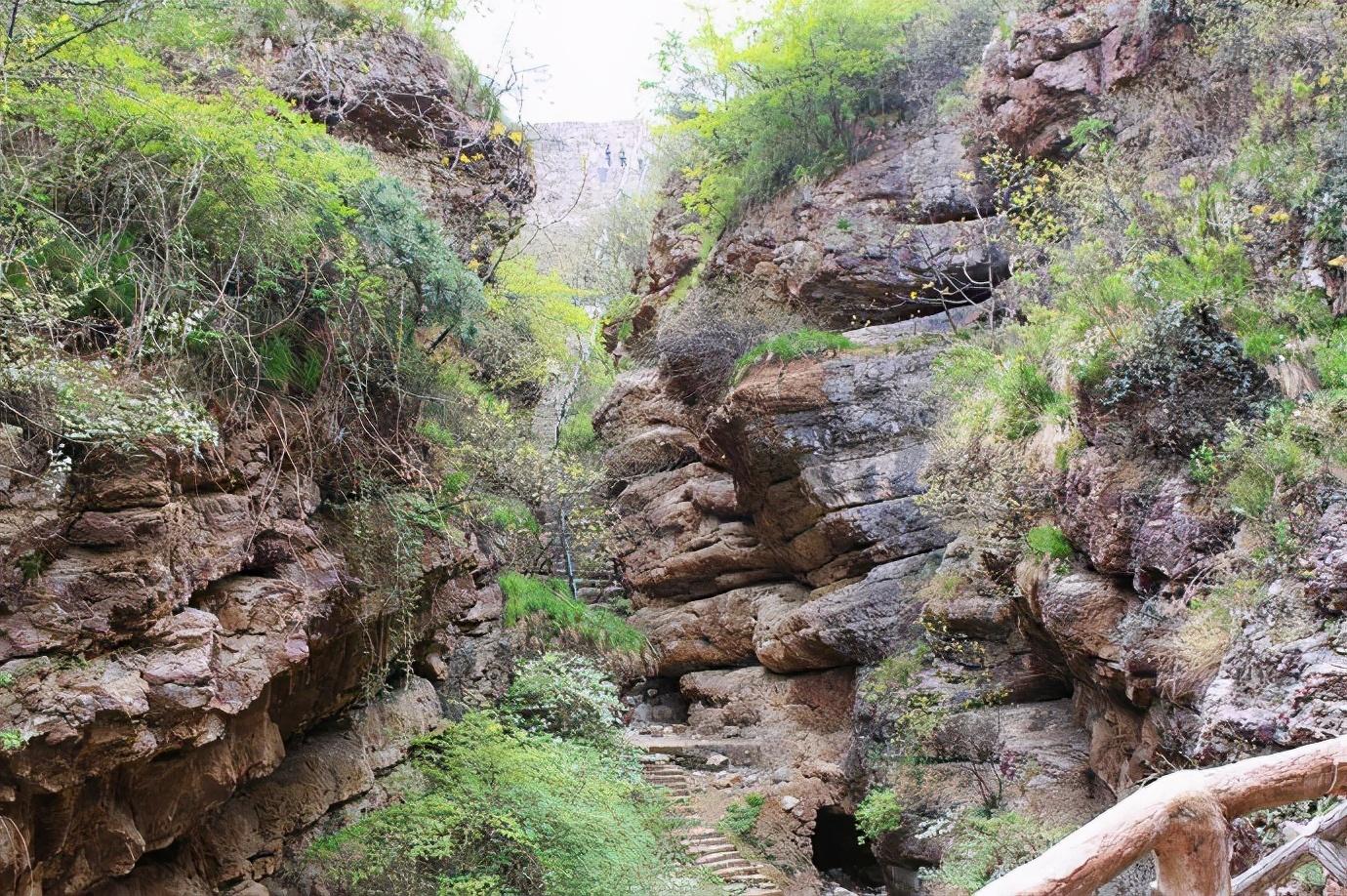 鹤鸣峡景区金惠民活动来袭(图11)