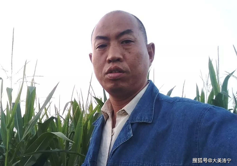 河南永宁县进士蔡子英(图4)