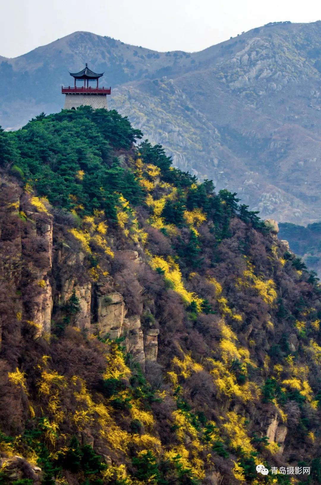 中国摄影旅游网山东站香山挂牌仪式举行(图21)