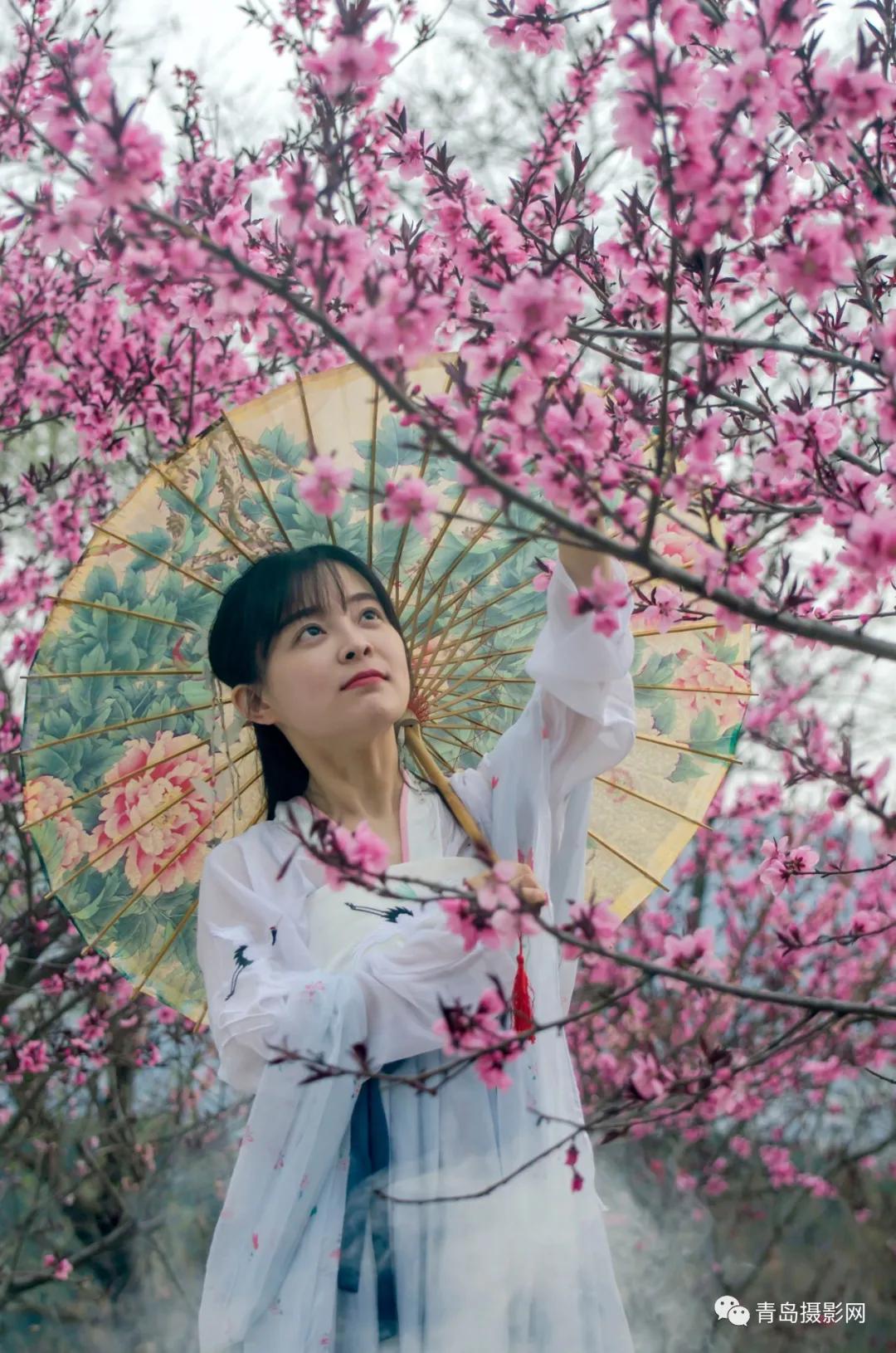 中国摄影旅游网山东站香山挂牌仪式举行(图23)