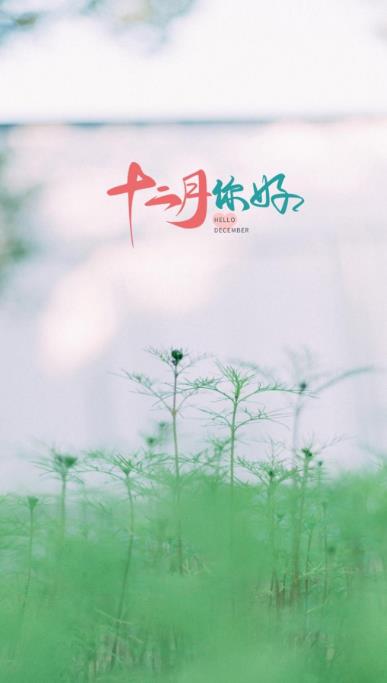 1606790405730076684.jpg 360鎴浘20201201102436968.jpg