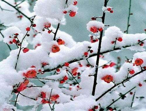闆01.jpg