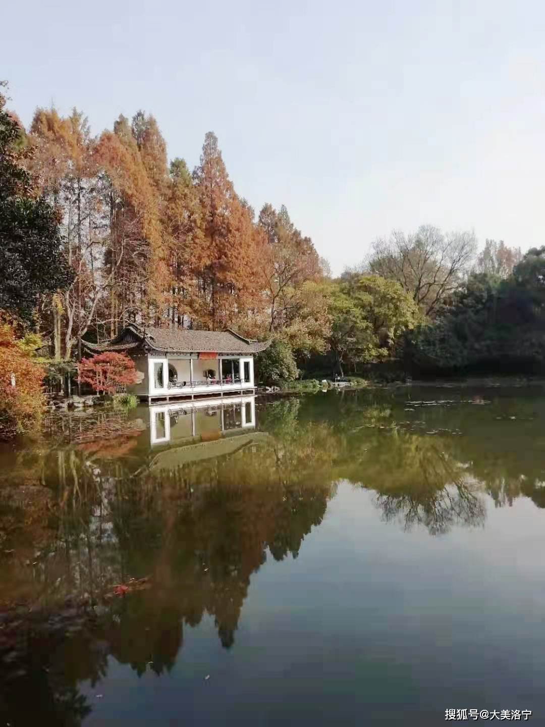 洛宁金玉国游记——林木深处观艺展(图4)