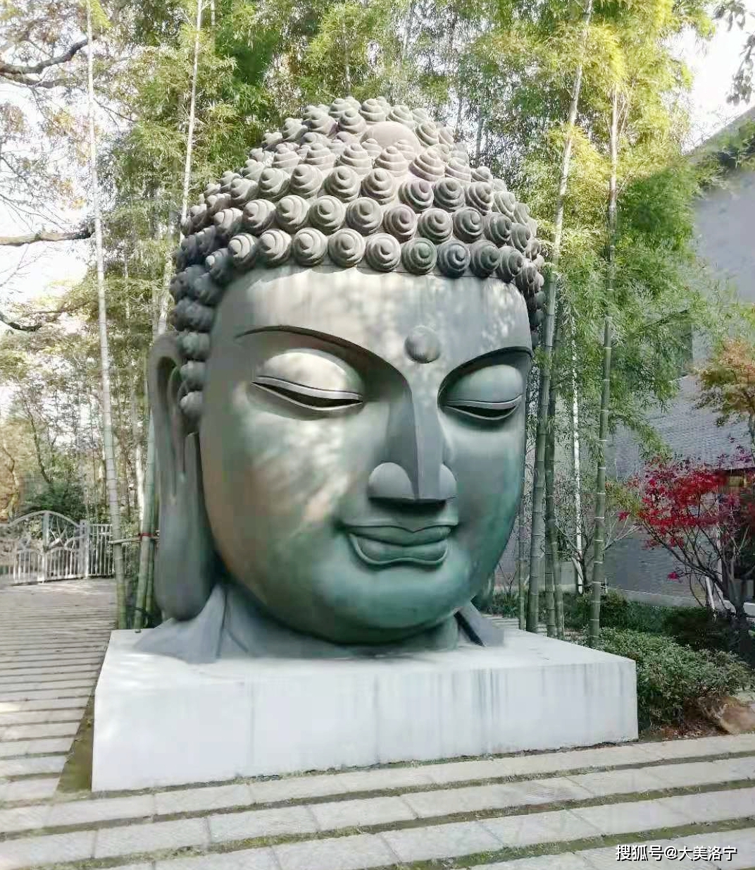 洛宁金玉国游记——林木深处观艺展(图15)