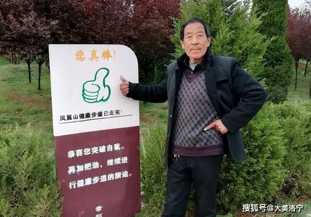 洛宁金玉国游记——林木深处观艺展(图18)