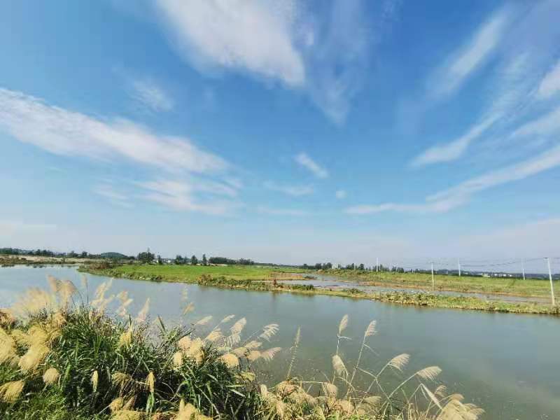 河湖明珠——大美王营欢迎您(龙狮鹏)