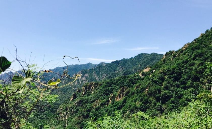 华人诗社十六人合诵《读北京》（图17）