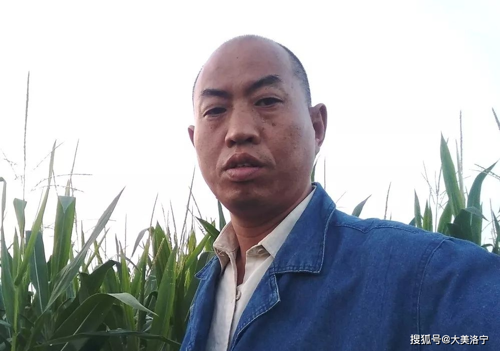 河南巡缉同官録(洛宁部分)(图4)