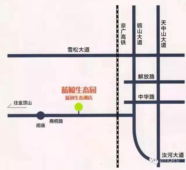 开春踏青 亲子游玩 蓝闰农业生态园首届七彩蝴蝶文化旅游节来啦(图14)