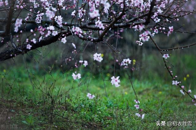 元稹春分节气诗两首,一首官宣,一首踏青,都写得大气明丽