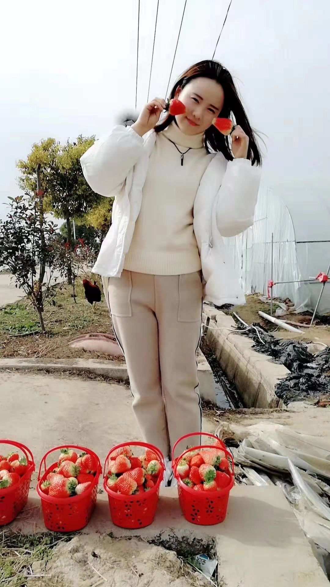 抓住草莓采摘的尾巴!“莓”好时光就在鄂州网红打卡地祥瑞草莓园