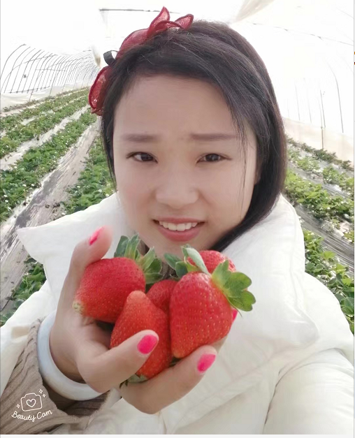抓住草莓采摘的尾巴!“莓”好时光就在鄂州网红打卡地祥瑞草莓园