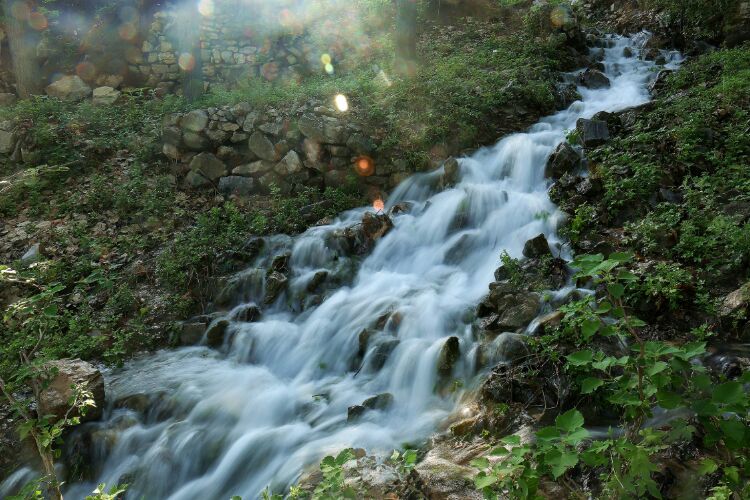 ​刘同芳：泉韵洪范
