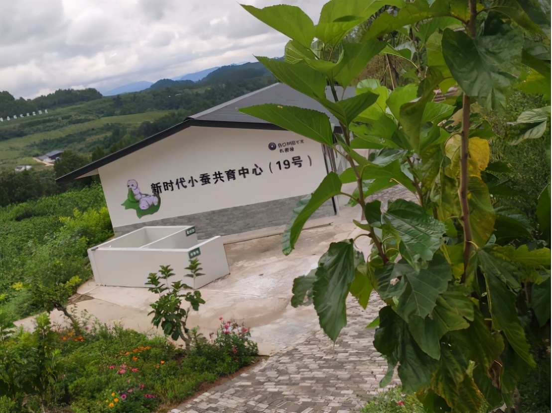 回顾仪陇县蚕桑生产的发展历程（图5）