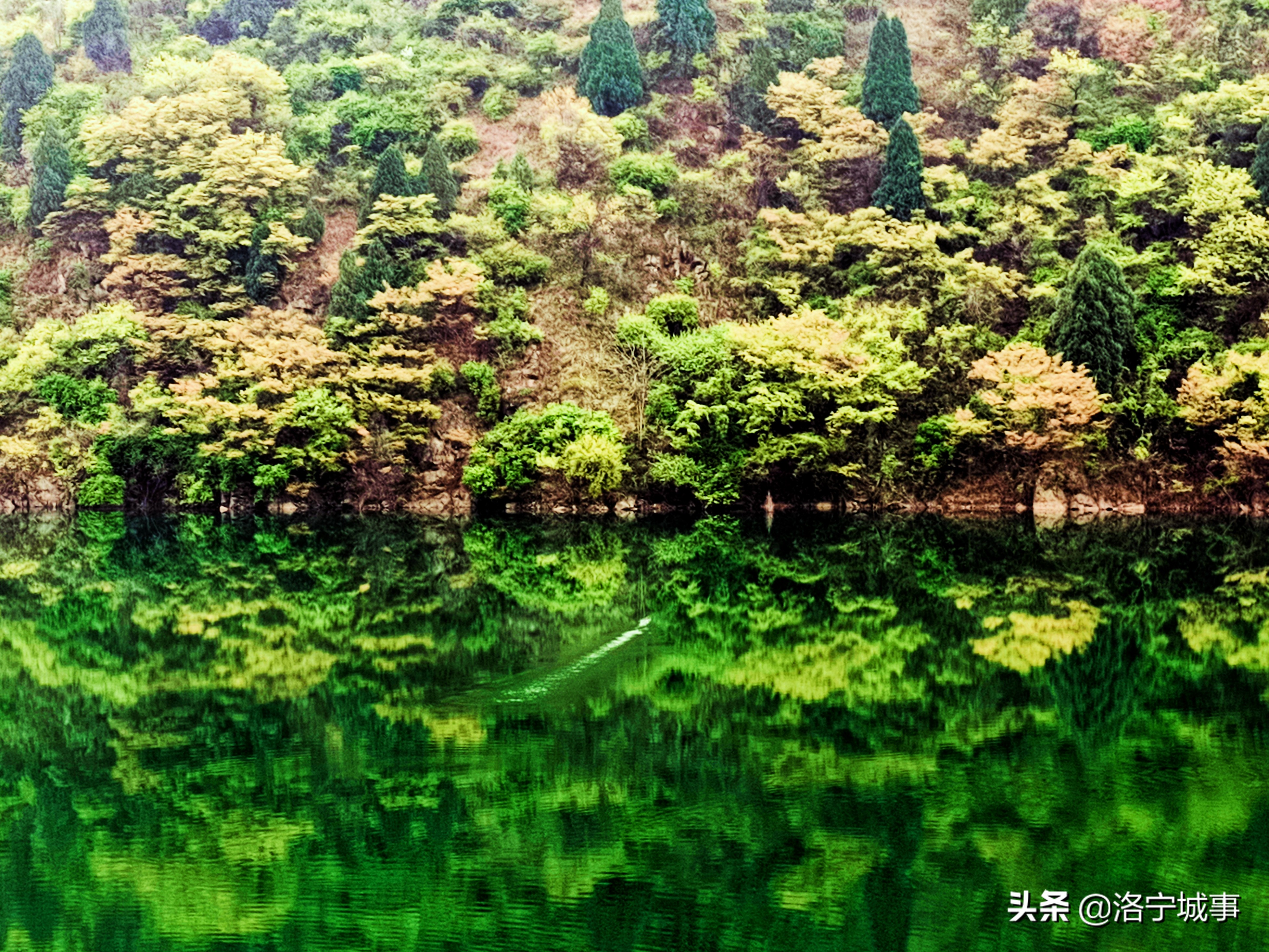 令你食指大动的好去处（图9）