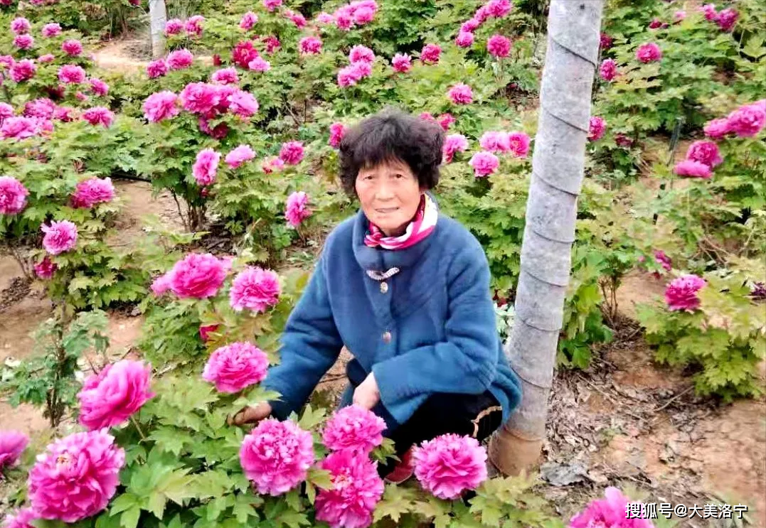 洛宁滨河公园花儿美(图9)